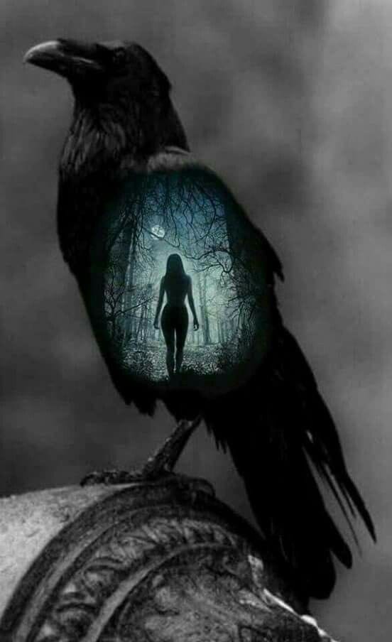 A Woman Walks in the Shadow of the Raven