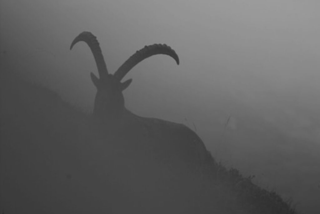 Horned Figure Looms on the Horizont